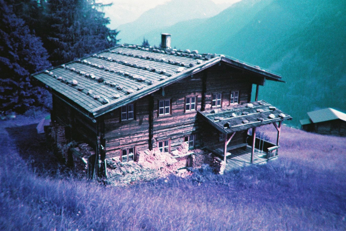 Lomochrome Purple 35/120mm filma