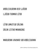 Heimilisplaköt