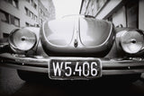 Lady Grey 3pack 35mm